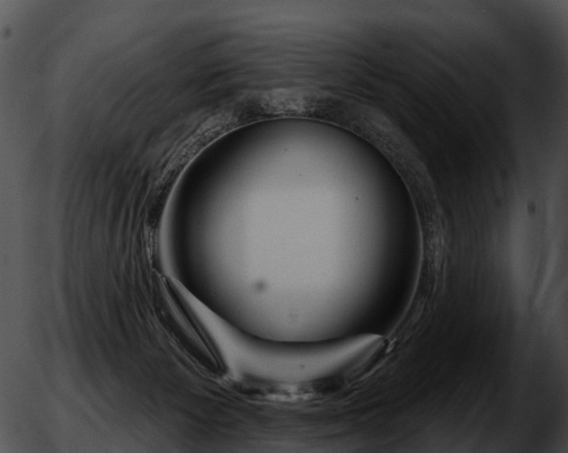 X0000051860125200507012350