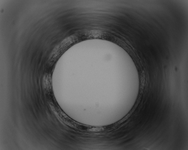 X0000051860126200507012350