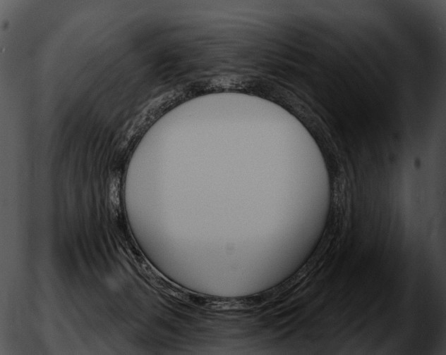 X0000051860127200507012350