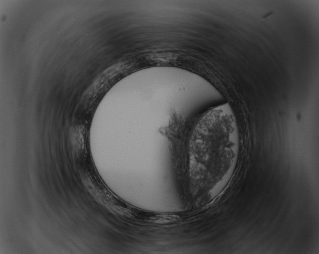 X0000051860128200507012350