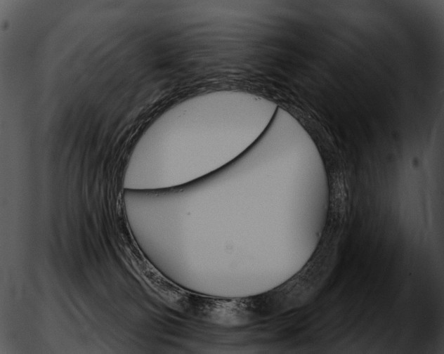 X0000051860130200507012350