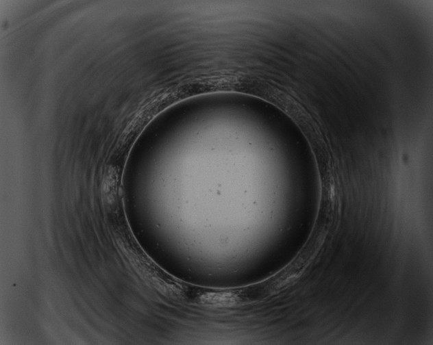 X0000051860133200507012350