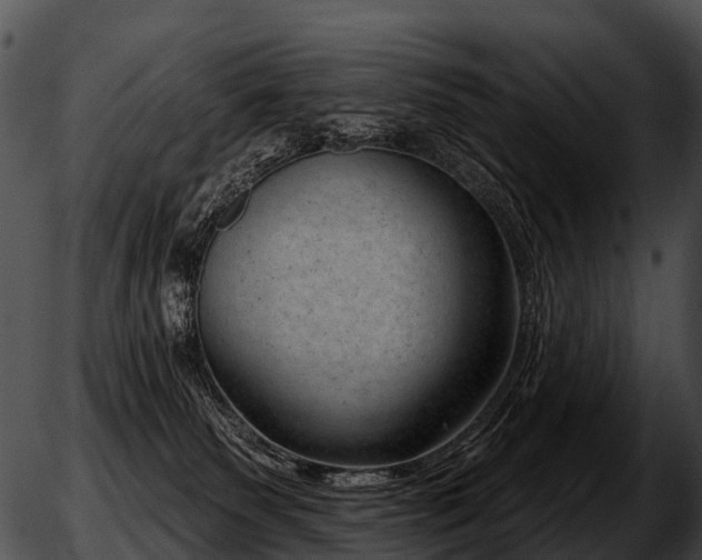 X0000051860135200507012350