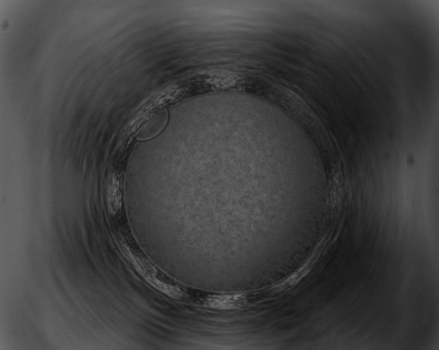 X0000051860136200507012350