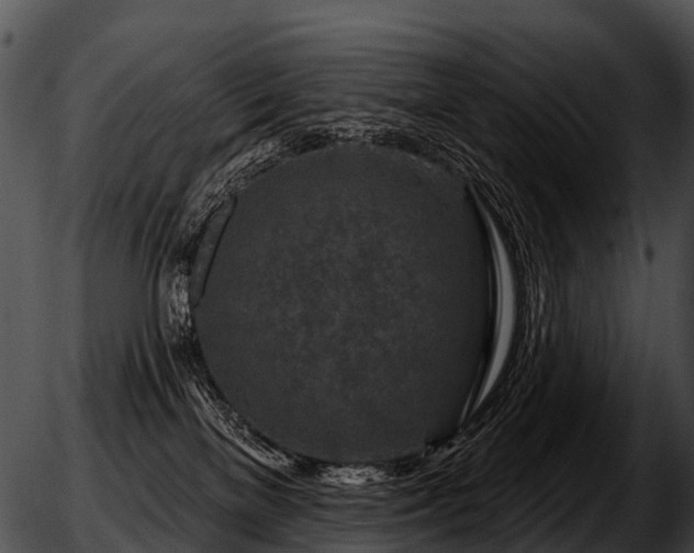 X0000051860137200507012350