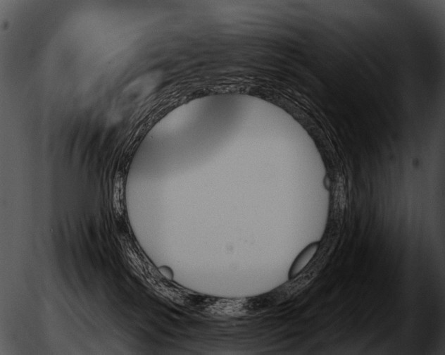 X0000051860138200507012350