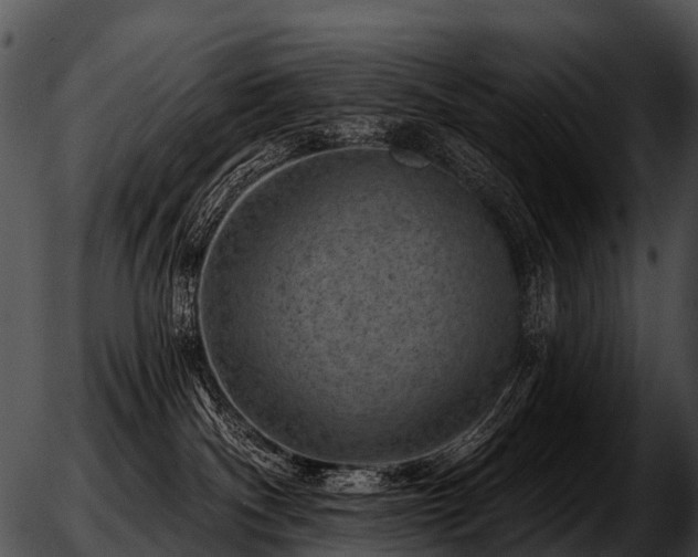 X0000051860140200507012350