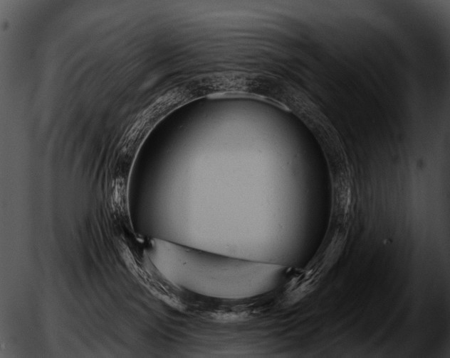 X0000051860141200507012350