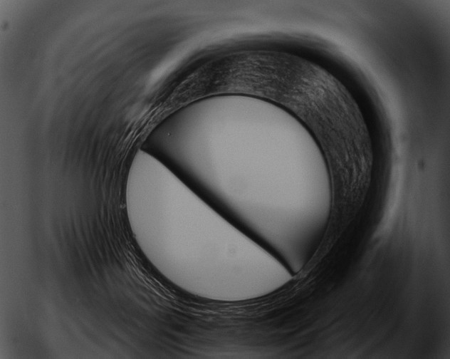 X0000051860143200507012350