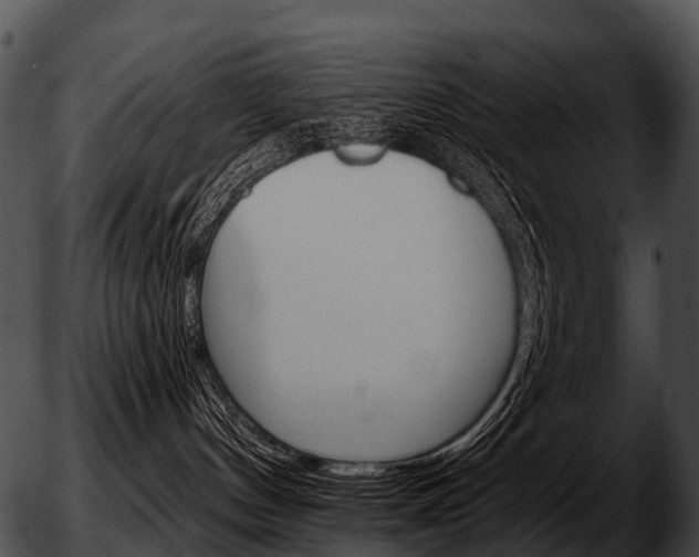 X0000051860144200507012350