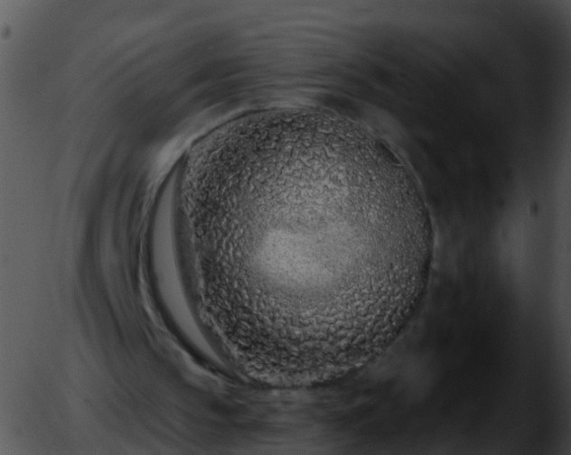 X0000051860145200507012349