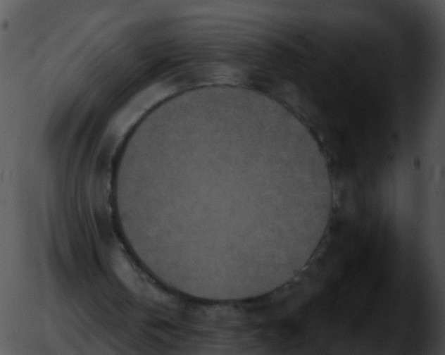 X0000051860146200507012349