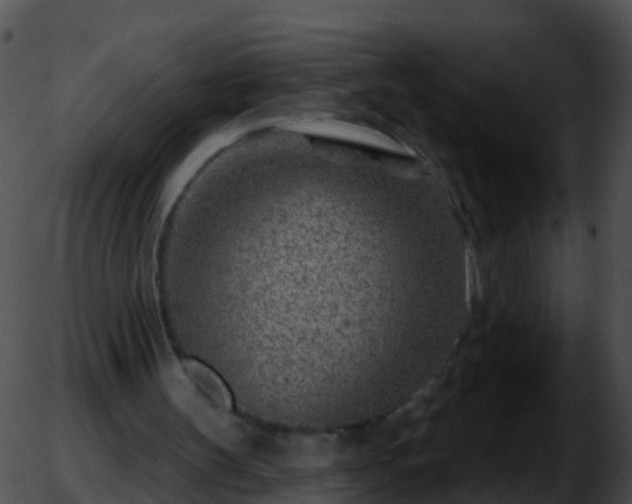 X0000051860147200507012349