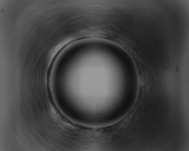 X0000051860148200507012349