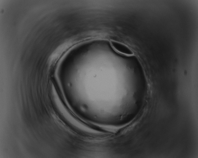 X0000051860149200507012349