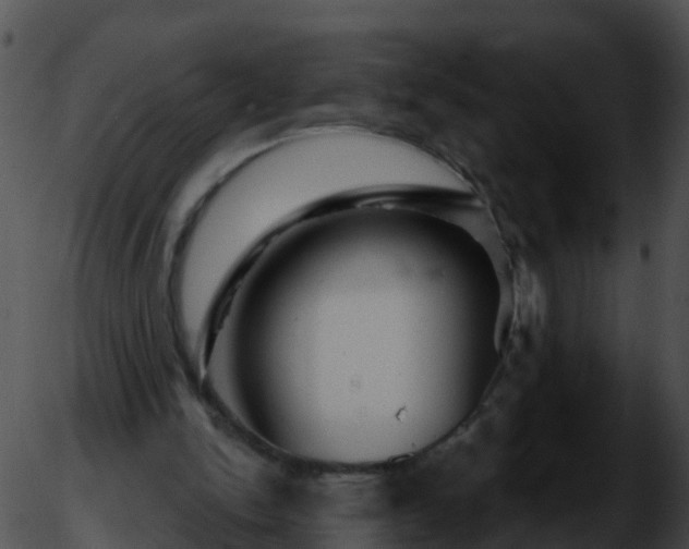 X0000051860150200507012349