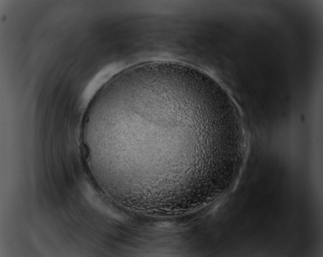 X0000051860151200507012349