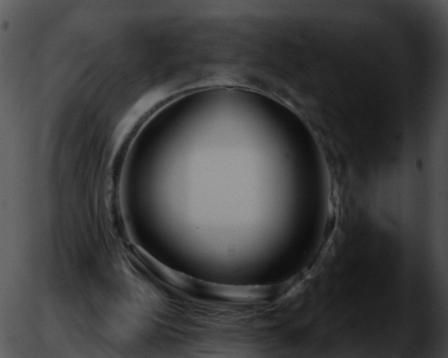 X0000051860152200507012349