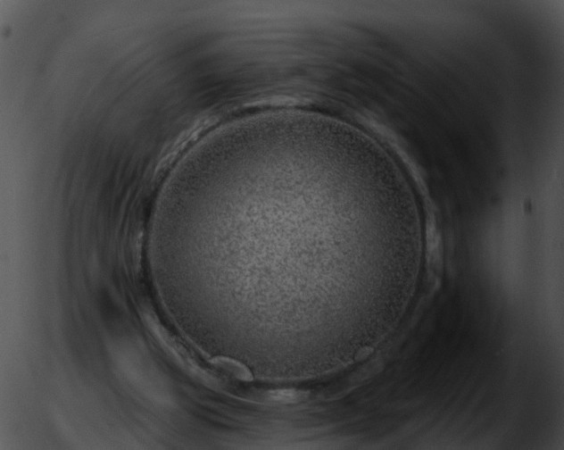 X0000051860153200507012349