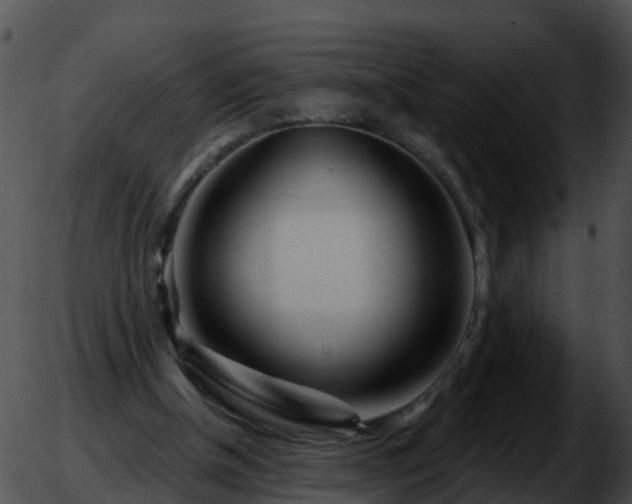 X0000051860154200507012349