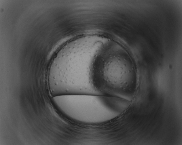 X0000051860155200507012349