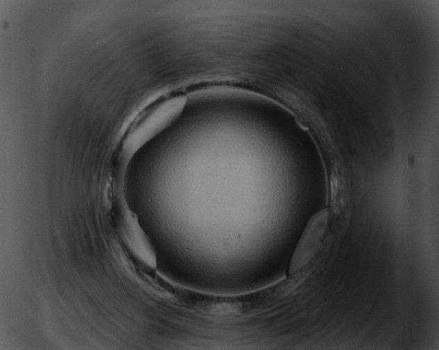 X0000051860156200507012349