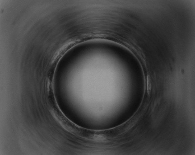 X0000051860157200507012349