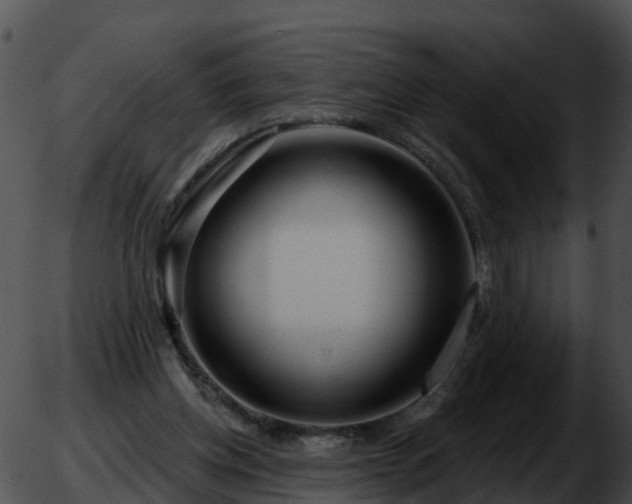 X0000051860158200507012349