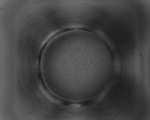 X0000051860159200507012349