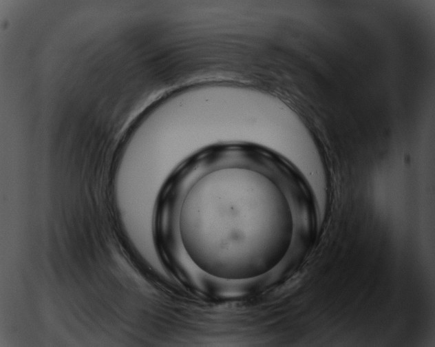 X0000051860160200507012349