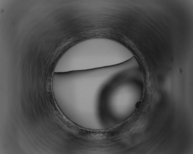 X0000051860161200507012349