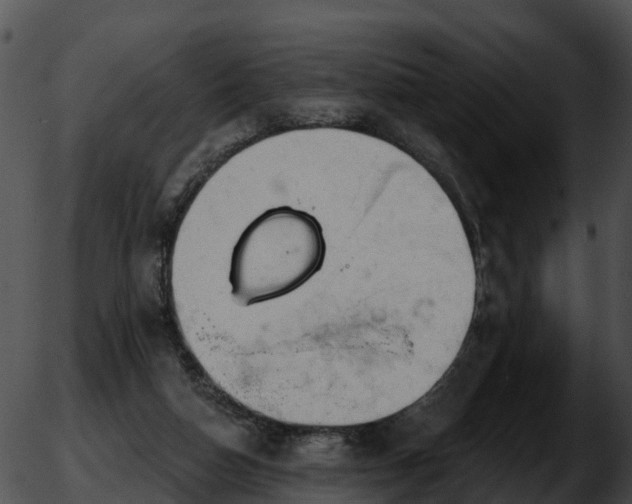 X0000051860162200507012349