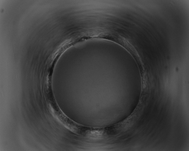 X0000051860163200507012349