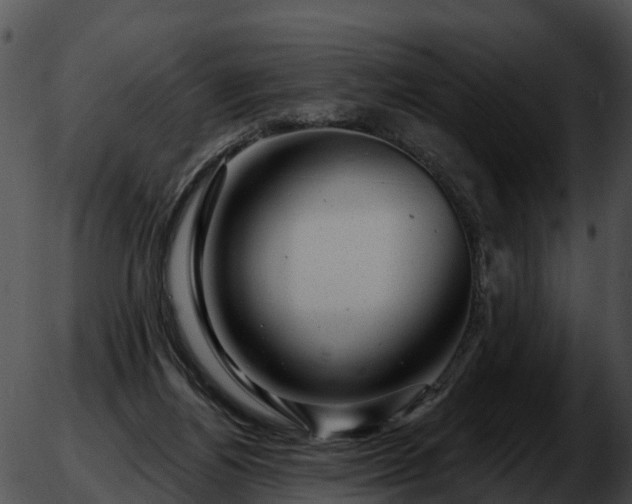 X0000051860164200507012349