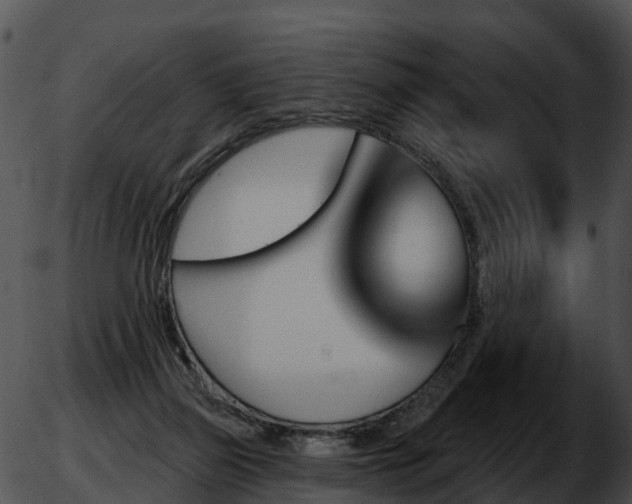 X0000051860165200507012349