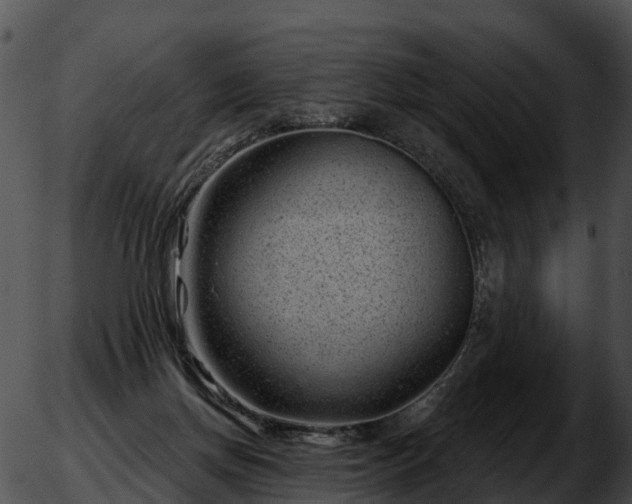 X0000051860166200507012349