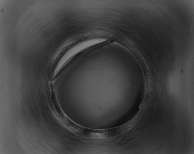 X0000051860167200507012349