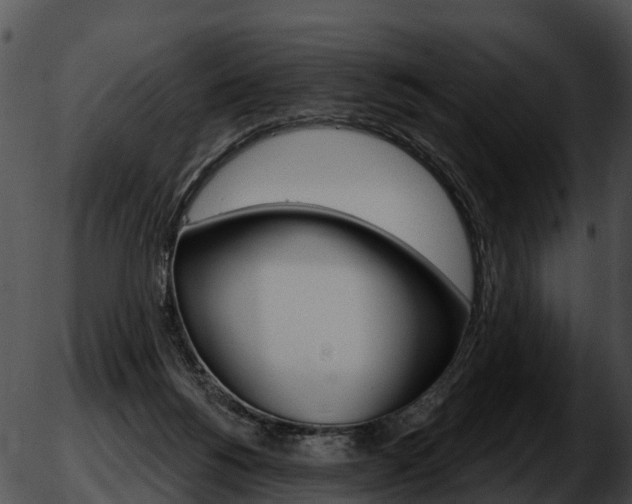 X0000051860168200507012349