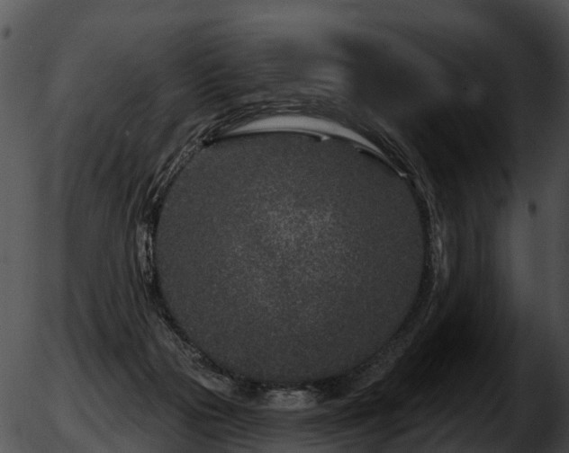 X0000051860169200507012349