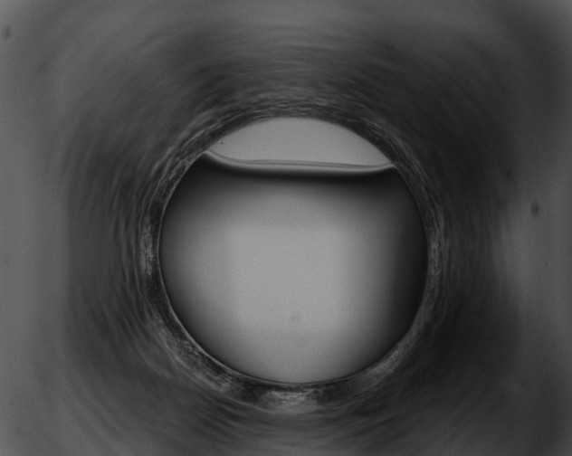 X0000051860170200507012349