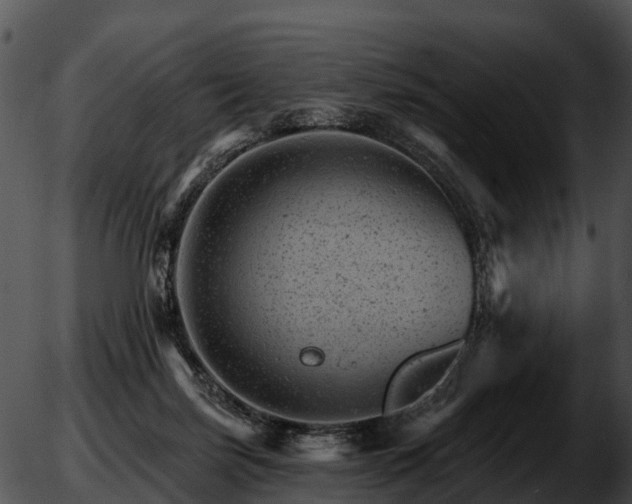 X0000051860171200507012349