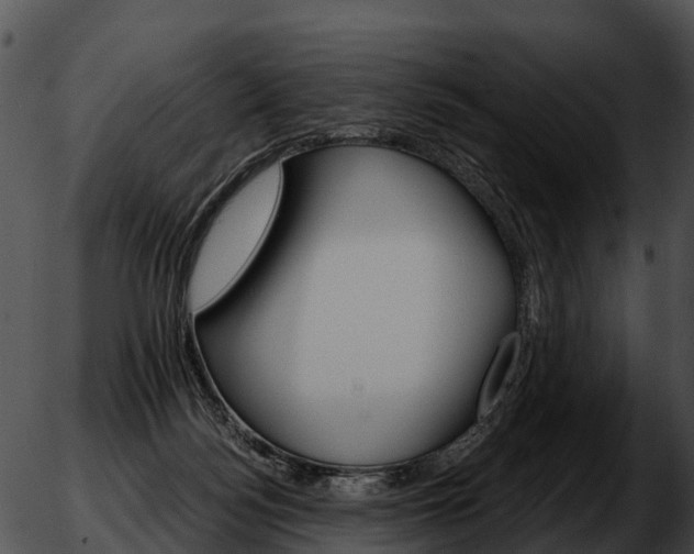 X0000051860172200507012349