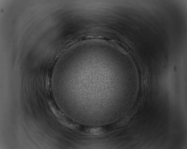 X0000051860173200507012349