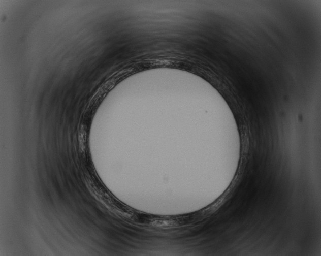 X0000051860174200507012349