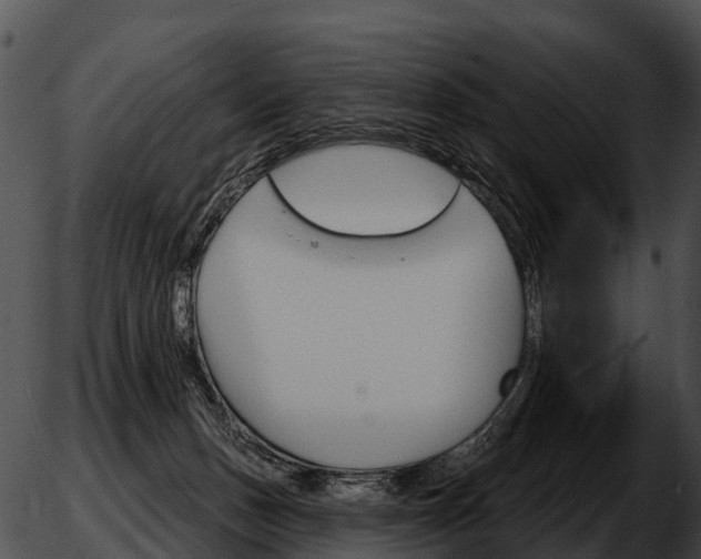 X0000051860175200507012349