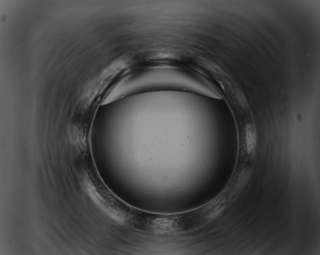 X0000051860176200507012349