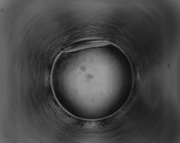 X0000051860177200507012349