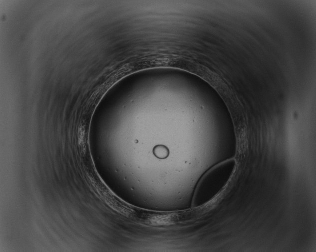 X0000051860178200507012349