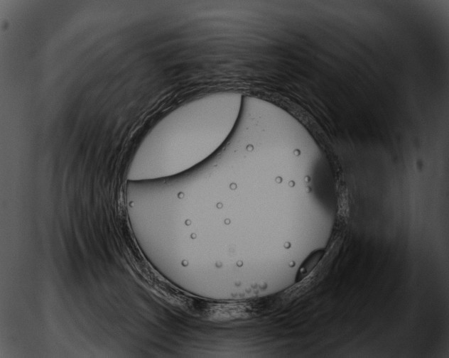 X0000051860179200507012349