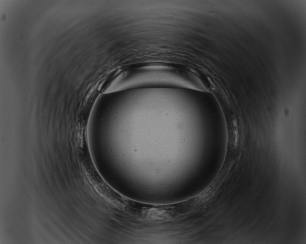 X0000051860180200507012349